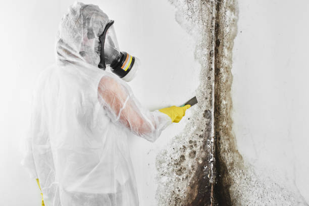 Mold Remediation for Historic Buildings