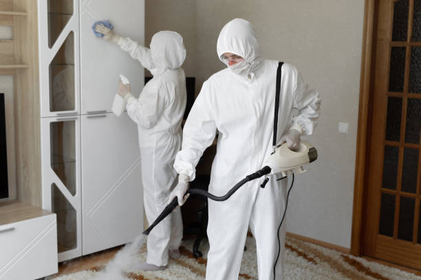 Best Commercial Mold Remediation in Johnson, AR